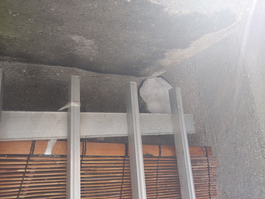 �G�A�R�������z���o���@�`��