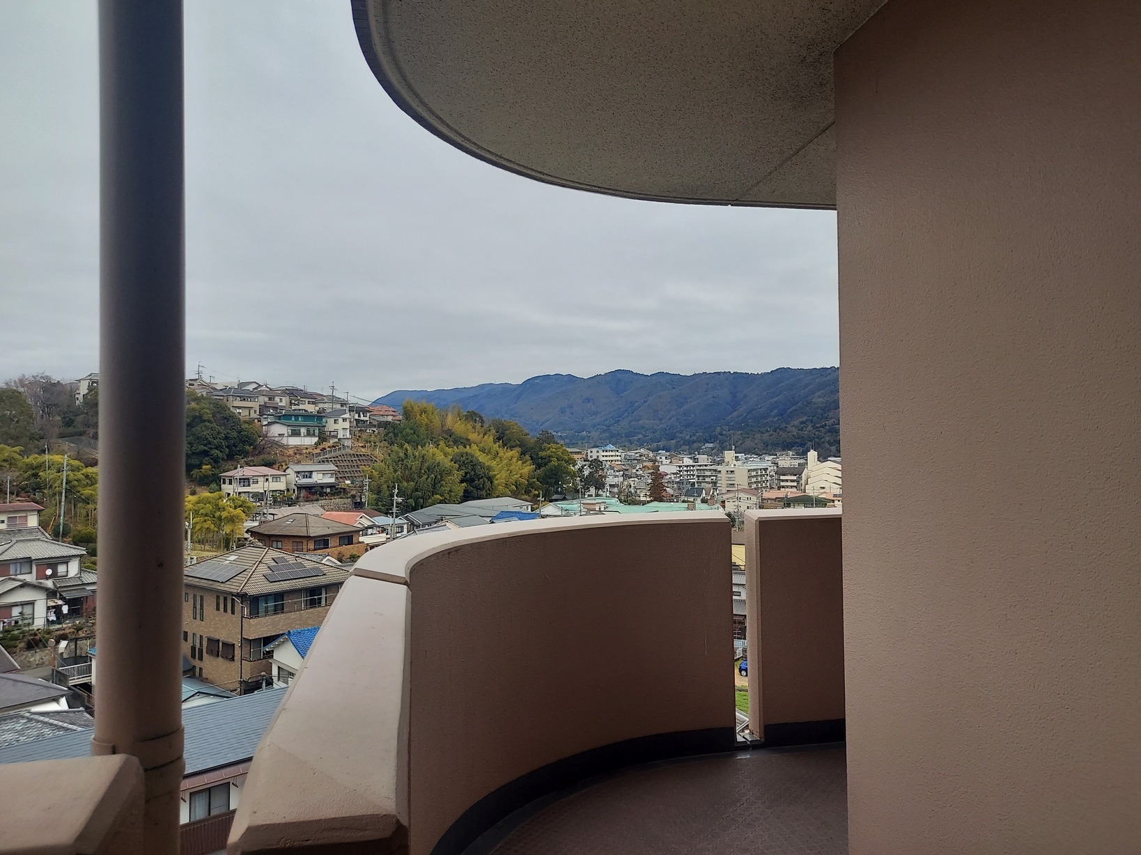 ���ʂł���������X�@�쐼�X