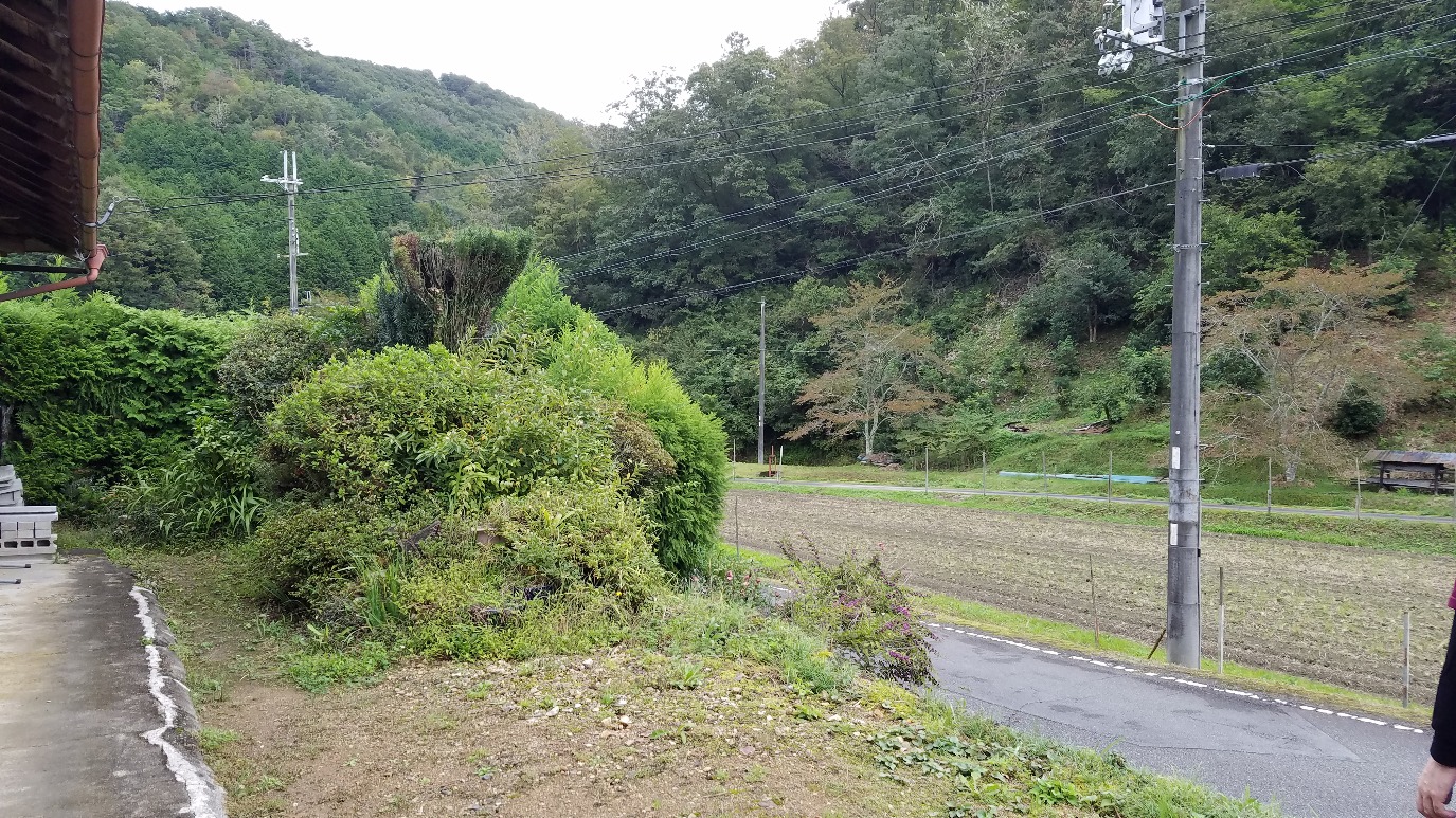 買取り先の丹波篠山市のY様のお宅オオスズメバチの巣